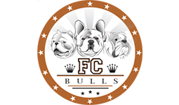 FC Bulls